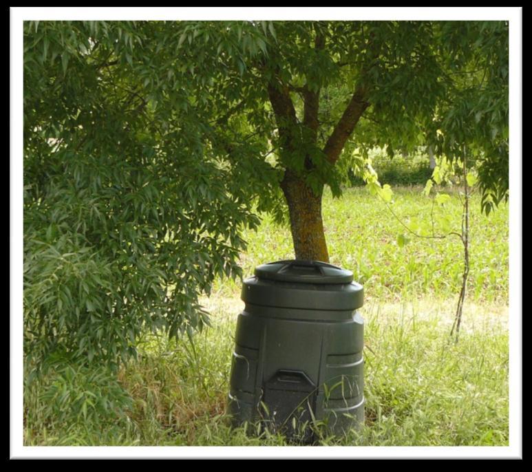 1) Il luogo adatto La collocazione ottimale della compostiera è possibilmente all ombra di alberi che in inverno perdono le foglie, così da evitare essiccamenti estivi e da