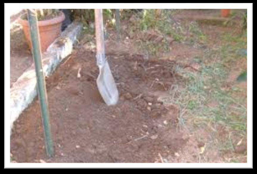 1) Il luogo adatto Si consiglia di smuovere il terreno prima della sistemazione della compostiera.