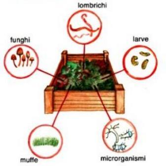 4) Aria-Aerazione Il compostaggio della materia organica