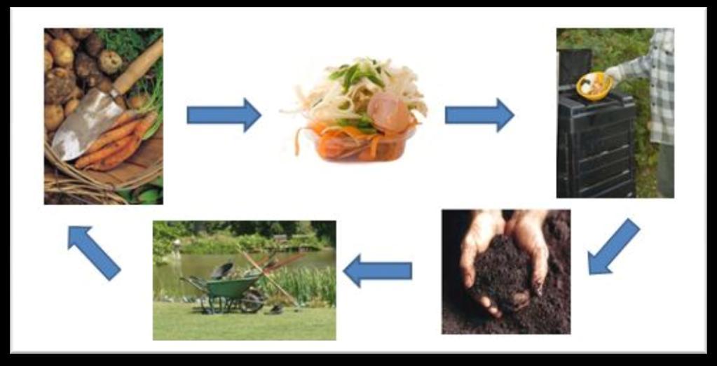il compostaggio Circa un terzo dei rifiuti prodotti da una persona è composto da rifiuti organici che possono perciò essere reintrodotti nei cicli della natura.