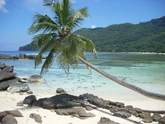 Mahè L isola principale dell arcipelago, lunga 28km e larga 8 è granitica con verdi foreste, vette montuose che sfiorano 1000 metri e più di 65 spiagge, vantando una ricca diversità di flora e di