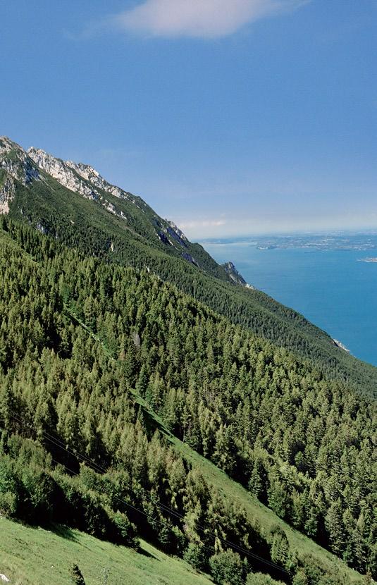 Garda aveva mostrato di apprezzare i colori, il clima favorevole e mite, l aspetto mediterraneo in un ambiente prettamente alpino.