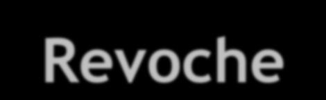 Revoche Nel caso di inosservanza delle disposizioni previste dall Avviso o del venir meno di uno dei requisiti determinanti per la concessione