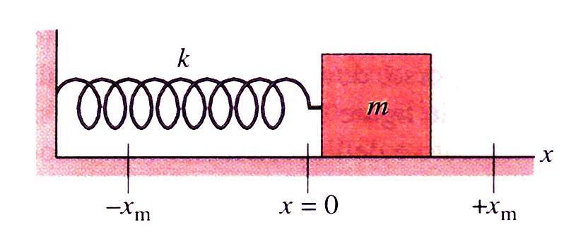 La legge di Hook Un corpo attaccato ad una olla oscilla e la sua accelerazione vale a(t) = - ω x(t).