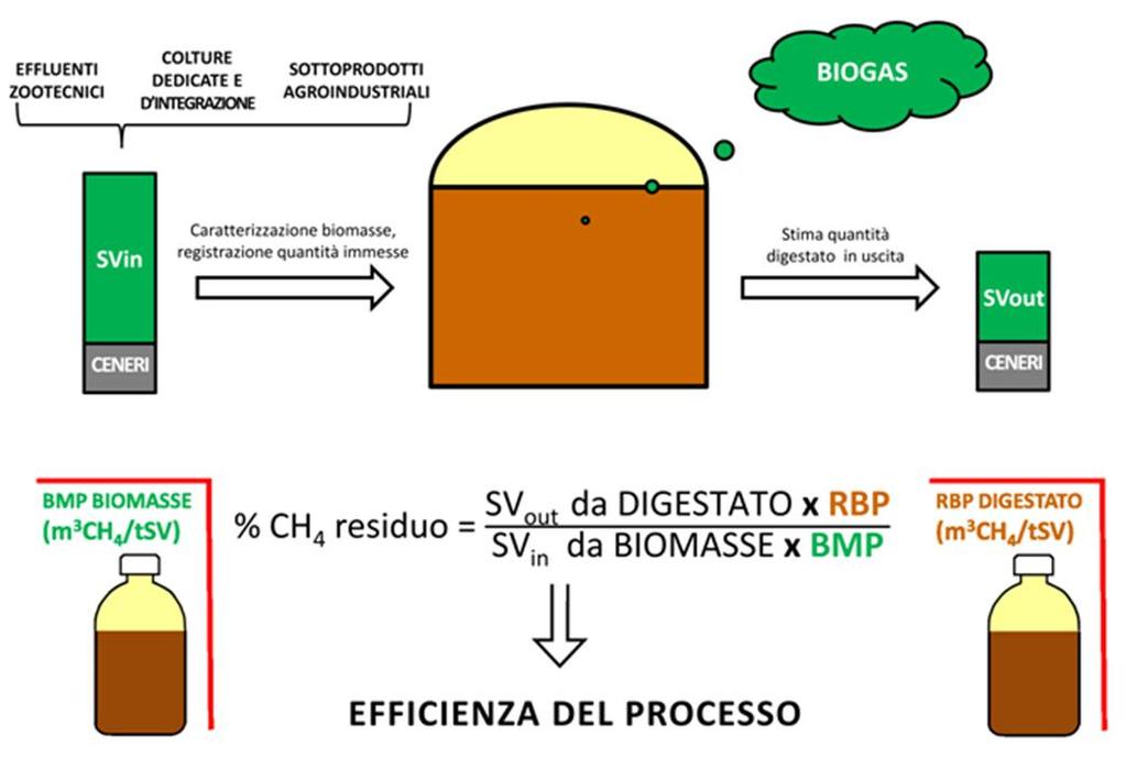 Perdita di efficienza biologica in relazione al potenziale metanigeno dell alimentazione e al RBP Il potenziale metanigeno residuo (Rbp) è strettamente