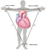 Elettrocardiogramma (ECG) I fenomeni elettrici del cuore generano un campo elettrico che si estende alla superficie corporea.
