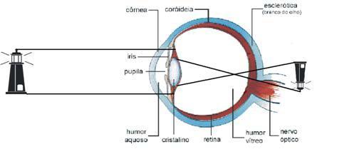 Difetti della vista e lenti correttive Ipermetropia è il difetto che impedisce di vedere bene le cose vicine.