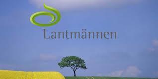 Gli svedesi entrano a gamba tesa sulle esportazioni francesi La svedese Lantmannen riporta un forte incremento delle esportazioni di grano verso l Europa meridionale e l Africa, rubando quote di