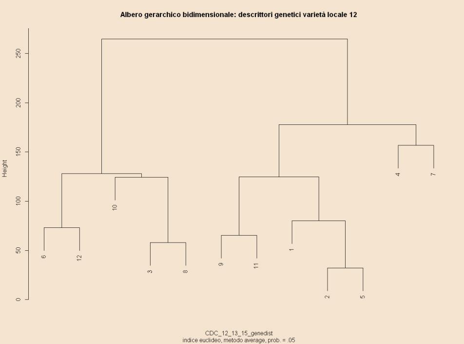 della valutazione genetica ha rafforzato quanto emerso nell analisi morfologica (figura 3.14).