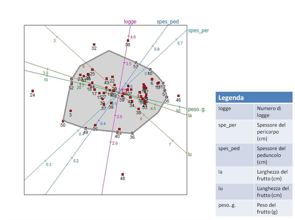 Figura 3.26. Biplot PCA varietà locale Peperone Melanzana Grippo: la trasformazione della matrice dei dati originari è di tipo logaritmica-centrata (la Grange A.