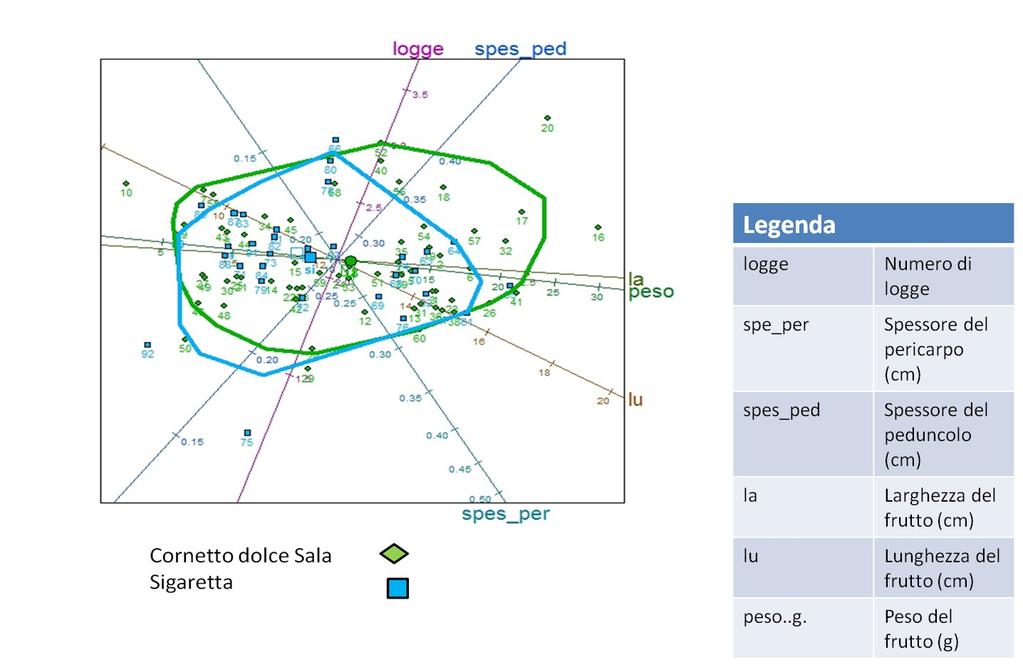 Figura 3.35. Biplot PCA: confronto fra Cornetto dolce Sala e Sigaretta. Geneticamente sono state analizzate entrambe le varietà che si mescolano perfettamente costituendo un unico gruppo (fig. 3.36).