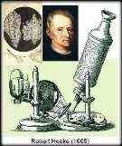 6. Un po di storia 1665 Robert Hooke Osserva al microscopio delle fette sottili di midollo di sambuco ed identifica piccole strutture distinte, apparentemente vuote, simili a tante piccole celle, che