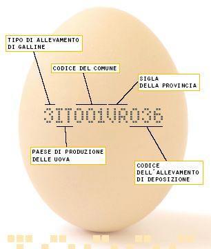 UOVA UOVA Grandezza Origine tipo di allevamento (0 = biologico;1 = all aperto;2 = a