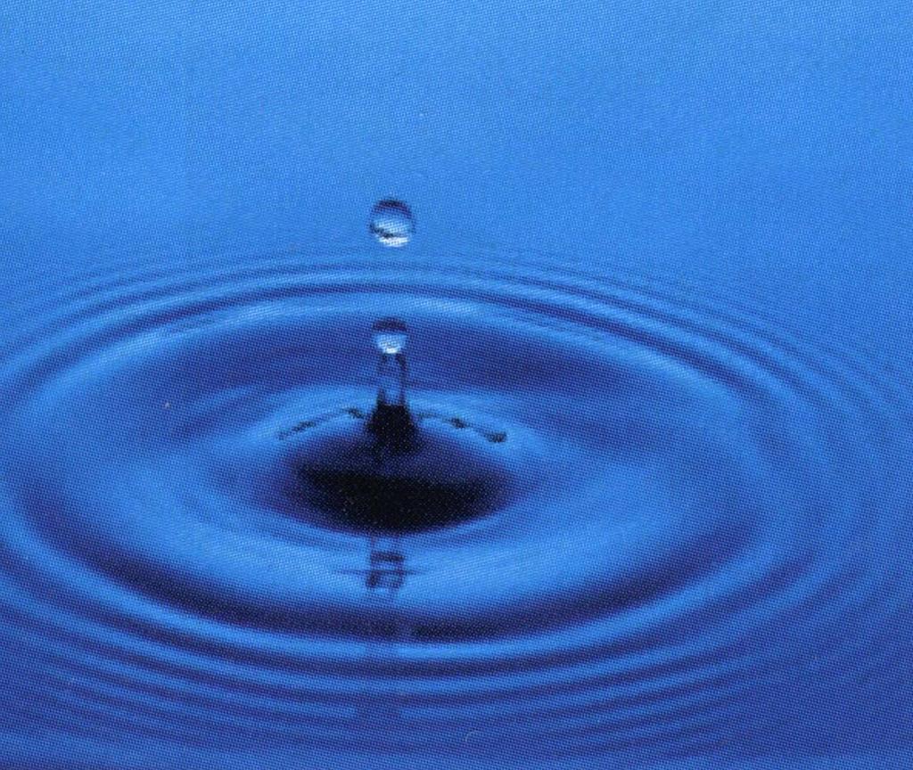 L acqua è l elemento che garantisce la vita nella sua complessità a livello planetario; è essenziale per soddisfare le necessità