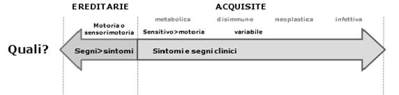 Terapia delle neuropatie periferiche Farmaci Posologia Immunomodulanti Ig ev. / Ig sc.