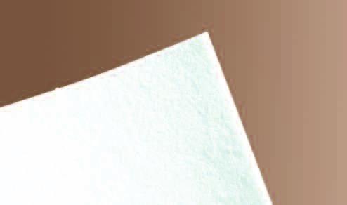 148 7274 - Biotexpaper La carta isolante Biotexpaper è realizzata in fibra Biotex tramite il metodo spinner, partendo da materie prime ad alta purezza sino a ottenere fibre eccezionalmente lunghe e