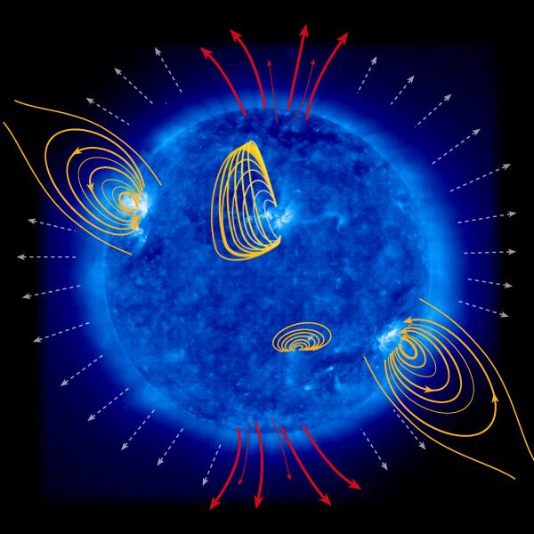 Il Campo Magnetico del Sole q Il Sole è interessato da forze magnetiche molto intense.