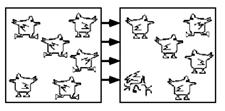 Wolfe et al (2002) - forse l attenzione è necessaria per combinare le features insieme Target = scrambled chicken la disintegrazione mascherata dal movimento dei piedi A cosa serve l attenzione?