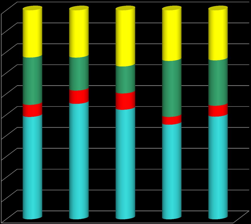 Struttura del consolidato per circoscriz.