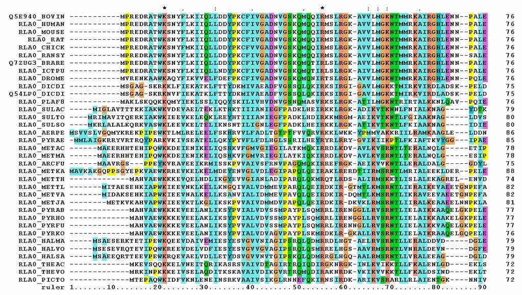 La comparazione delle sequenze aminoacidiche dedotte dalle sequenze geniche permette di comprendere l evoluzione di una proteina ed il suo grado