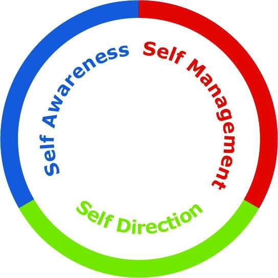 Sezione 2: Il Modello Six Seconds sull IE Il modello IE-in-Azione si compone di tre macro aree (Self Awareness Self Management Self Direction), ciascuna identifica un importante finalità: diventare