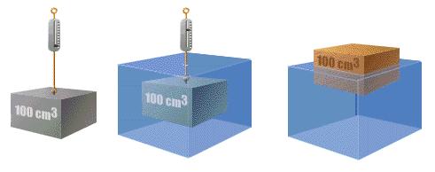 Comportamento del corpo umano nella fase statica principio di Archimede Un corpo immerso in acqua riceve una spinta dal basso