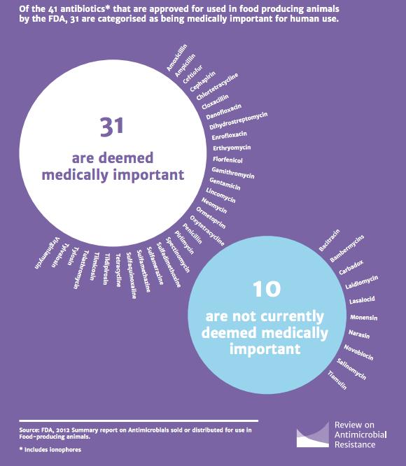 Most antibiotics used in animals