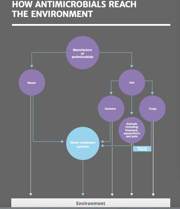 ANTIMICROBIALS IN AGRICULTURE AND THE ENVIRONMENT: