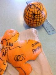 Quarta fase: arance e proiezioni geografiche Sbucciare l arancia