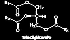 acylglycerol-3-phoshpate acyltransferase PAP = phosphatidate