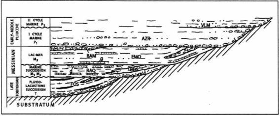 Figura 1-4. Ricostruzione schematica dei rapporti tra le diverse successioni mio-plioceniche nell area in esame (Batini et al., 2003). Per le sigle vedi il testo.