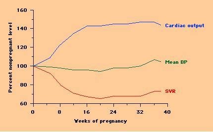 Modificazioni emodinamiche in gravidanza Gittata cardiaca Resistenze