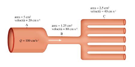 L equazione di continuità 0 Se il condotto si apre in più diramazioni, bisogna considerare la superficie