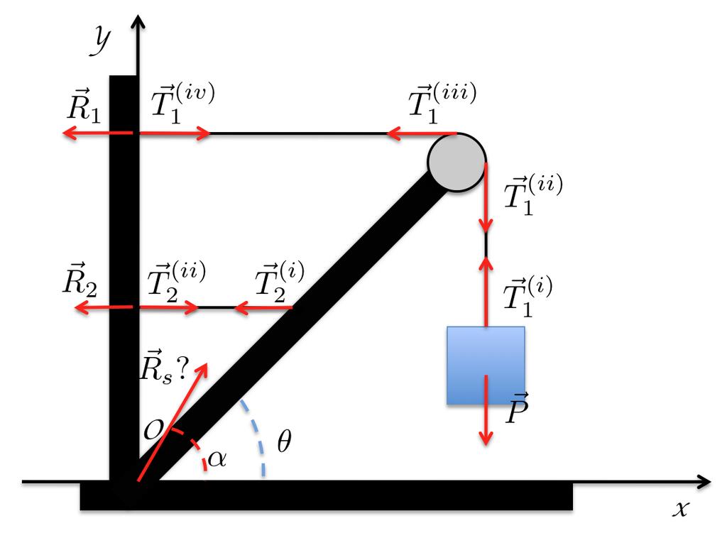 ESERCIZIO 9 In figura sono riportate tutte le forze che entrano in gioco per mantenere il sistema in equilibrio.