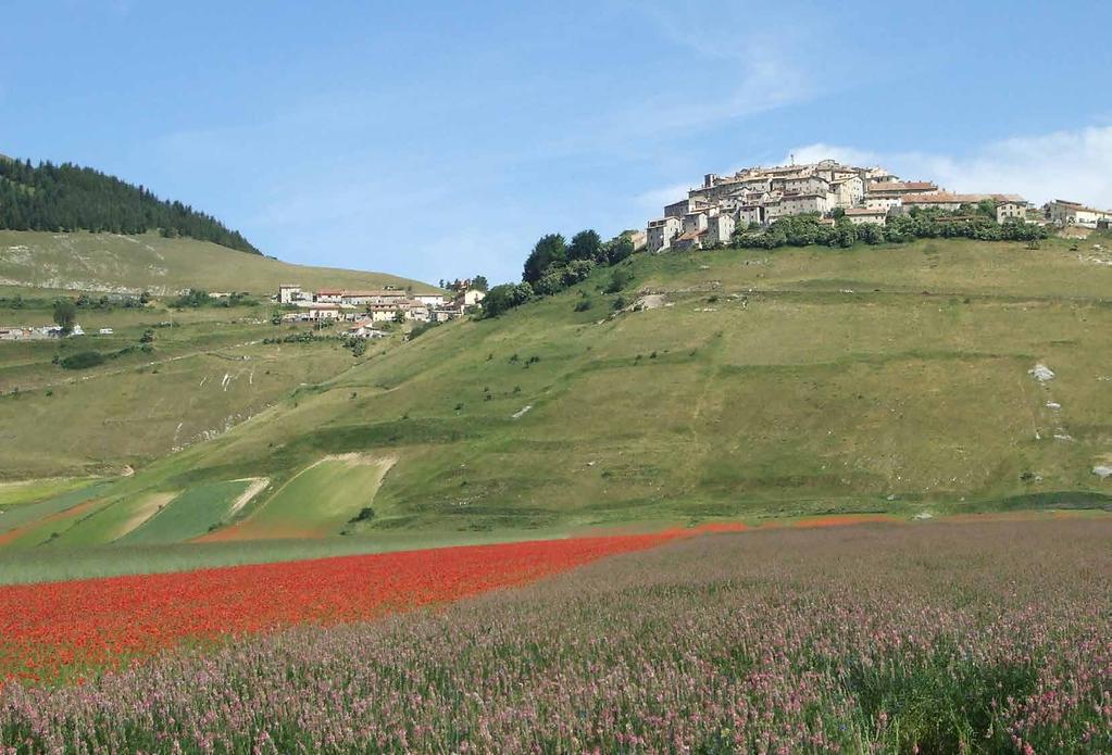 LA PIANA DI CASTELLUCCIO: NON