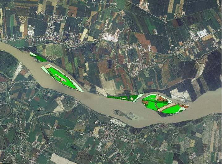 Mantova Interventi di riqualificazione e forestazione di