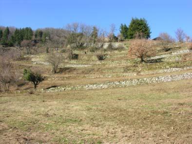 Acquerino-Cantagallo