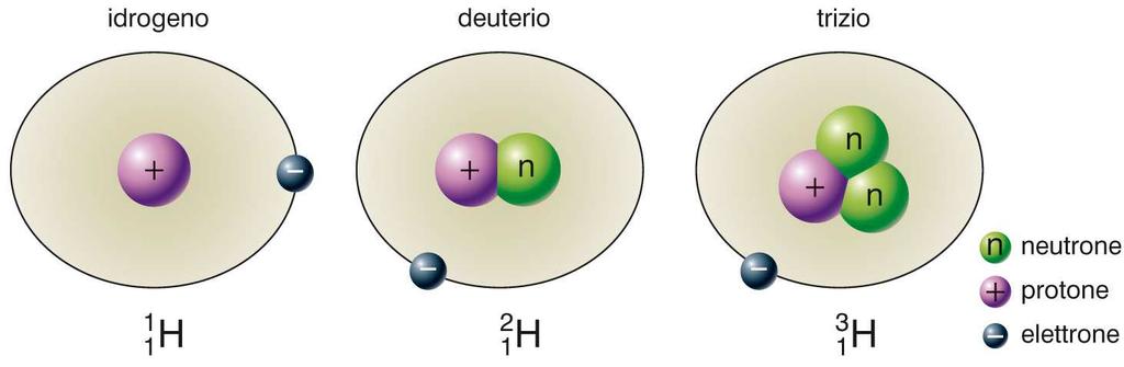 Numero atomico, numero di massa e isotopi Molti elementi sono costituiti da due o più isotopi