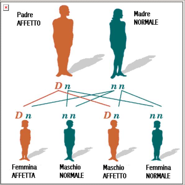 Malattia autosomica dominante La malattia autosomica dominante si osserva generalmente in