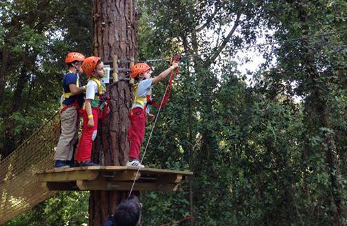 IL PINETO parco avventura SODDISF A LA TUA VOGLIA DI