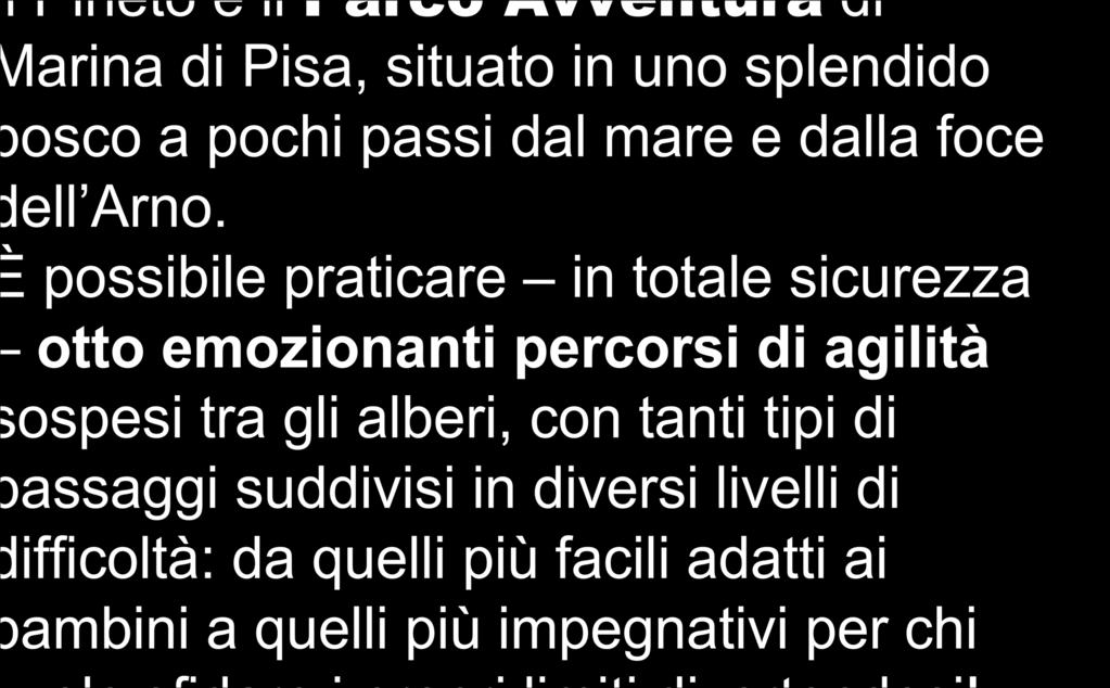 emozionanti percorsi di agilità sospesi tra gli