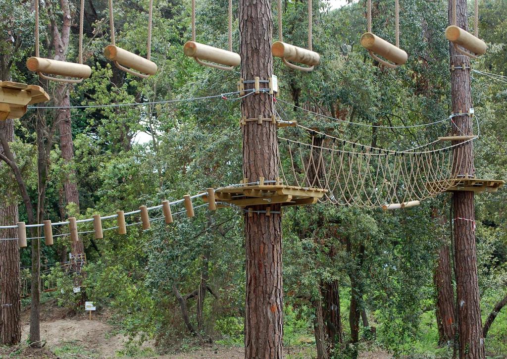 Otto percorsi per ogni emozione Guarda il bosco dall alto, metti alla prova la tua agilità nel superare i vari passaggi, emozionati nello spostarti da un albero all altro in acrobazia, mentre sei