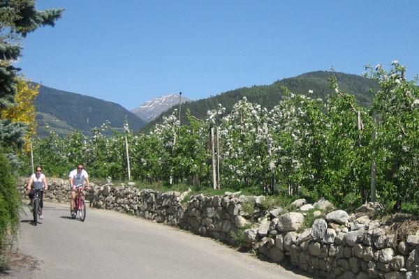 Bassa Atesina, passando al Lago di Caldaro, oppure attraverso la Valle dell Adige sulla diga del fiume Adige.