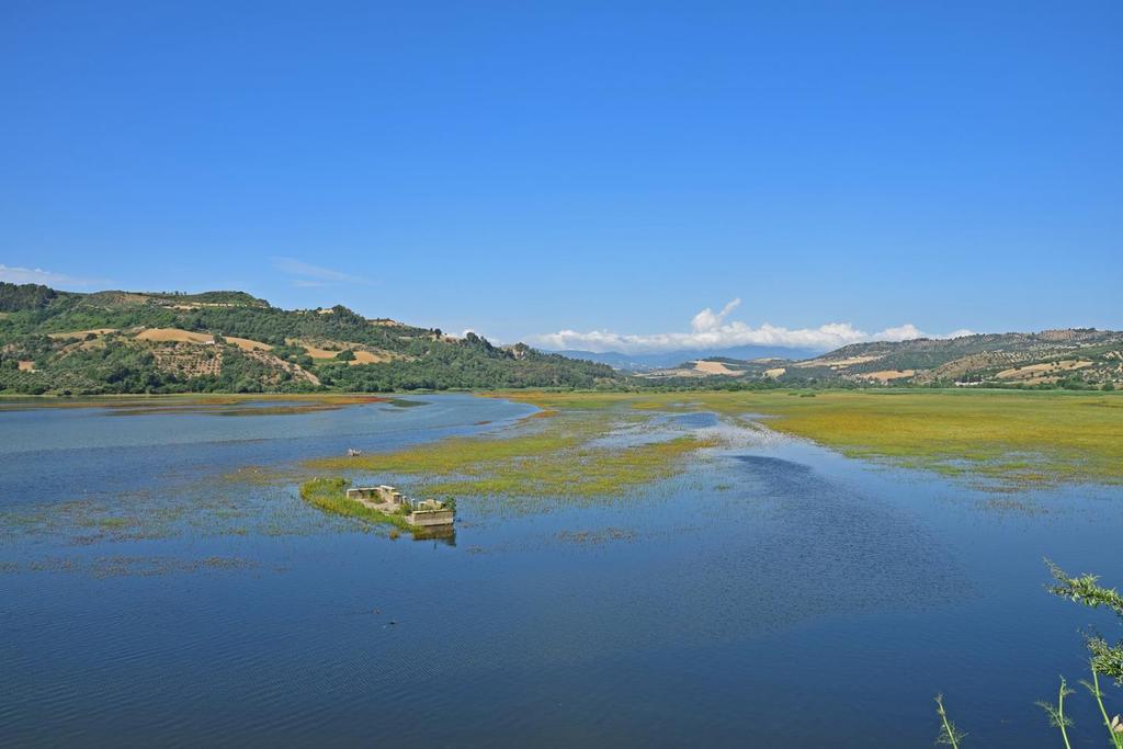 Riserva Naturale del Lago di Tarsia Un bacino lacustre a monte della diga delle Strette di Tarsia, ricadente nel territorio dei comuni di Tarsia e di S.