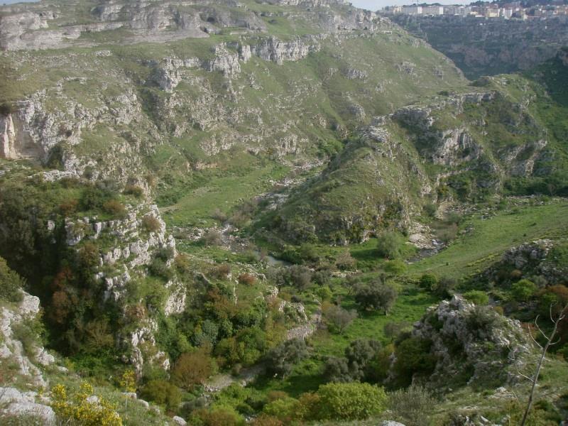 alcuni aspetti vegetazionali, attraverso interventi finalizzati al potenziamento della funzionalità degli