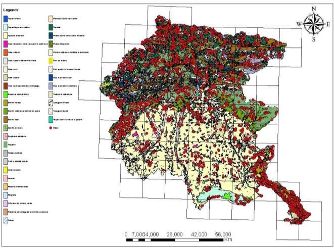 Rilievi della vegetazione e Carta dei Sistemi