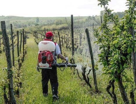 4 tradizionale la concentrazione però NON rappresenta una dose la quale dipende dal volume/ha: