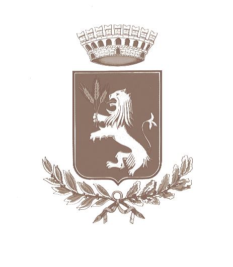 Provincia di Siena REGOLAMENTO DELL IMPOSTA MUNICIPALE PROPRIA I.M.U. Allegato alla D.C.C. n.