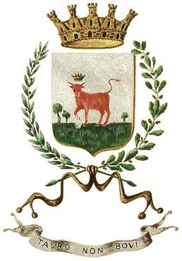 Città di Nardò (Provincia di Lecce) DETERMINAZIONE N.