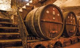 Alba ospita la sede di Piemonte on Wine, centro gratuito di prenotazione di visite in circa 400 cantine del Sud Piemonte: un wine corner per guidare gli